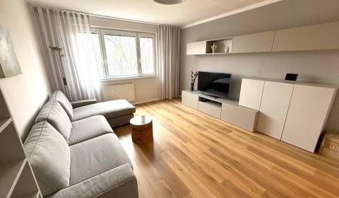 Rent Two bedroom apartment, Two bedroom apartment, Švabinského, Bratis