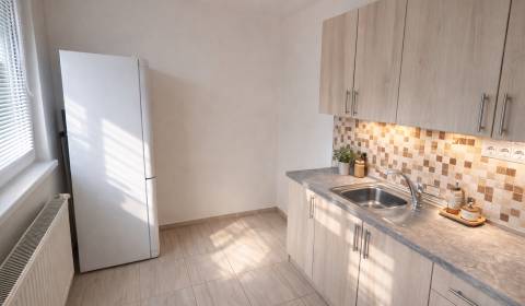 Sale One bedroom apartment, One bedroom apartment, Palárikova, Senica,