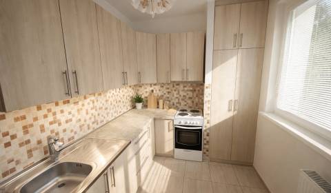 Sale One bedroom apartment, One bedroom apartment, Palárikova, Senica,