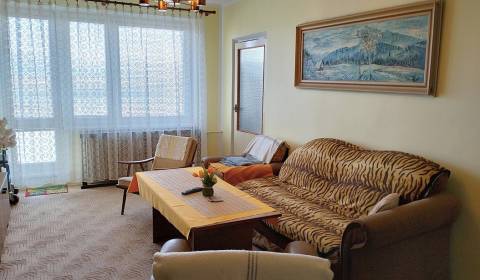 Sale One bedroom apartment, One bedroom apartment, Jilemnického, Marti