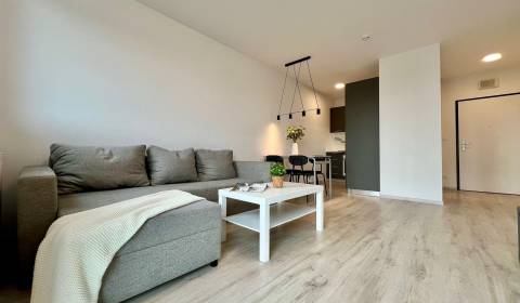 Rent One bedroom apartment, One bedroom apartment, Hraničná, Bratislav