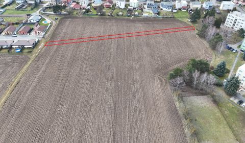 Sale Agrarian and forest land, Agrarian and forest land, Krupina, Slov