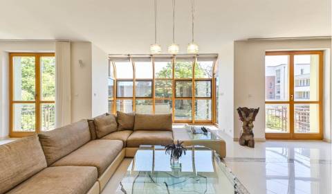 Sale Four+ bedroom apartment, Four+ bedroom apartment, Čapkova, Bratis