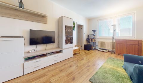 Sale Three bedroom apartment, Three bedroom apartment, Opatovská, Tren