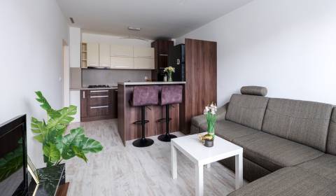 Rent One bedroom apartment, One bedroom apartment, Bratislava - Ružino