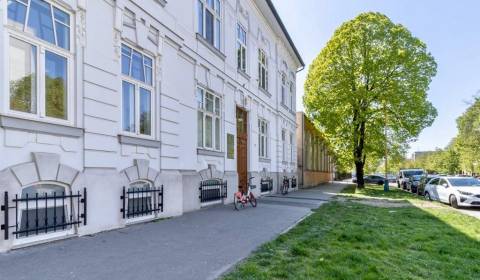 Rent Offices, Offices, Masarykova, Košice - Staré Mesto, Slovakia