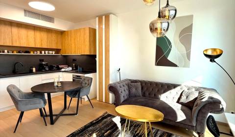 Rent One bedroom apartment, One bedroom apartment, Bottova, Bratislava