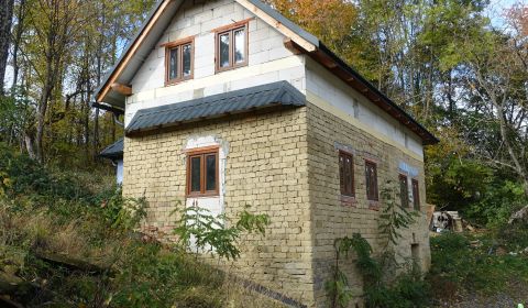 Sale Family house, Family house, Nové Mesto nad Váhom, Slovakia