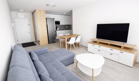 Rent One bedroom apartment, One bedroom apartment, Eduarda Wenzla , Br