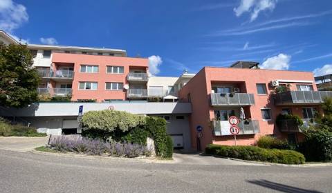 Rent One bedroom apartment, One bedroom apartment, Na Zlatej nohe, Bra