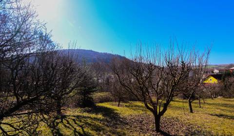 Sale Land – for living, Land – for living, Nové Mesto nad Váhom, Slova