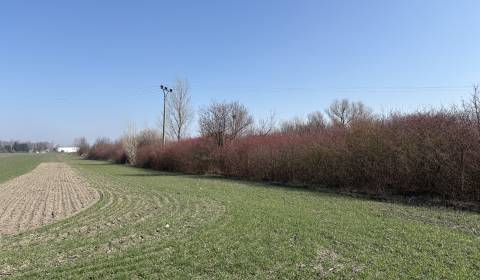 Sale Land – for living, Land – for living, Komárno, Slovakia