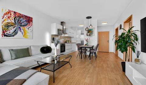 Rent One bedroom apartment, One bedroom apartment, Budatínska, Bratisl