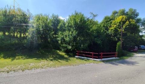 Sale Agrarian and forest land, Agrarian and forest land, Sabinov, Slov