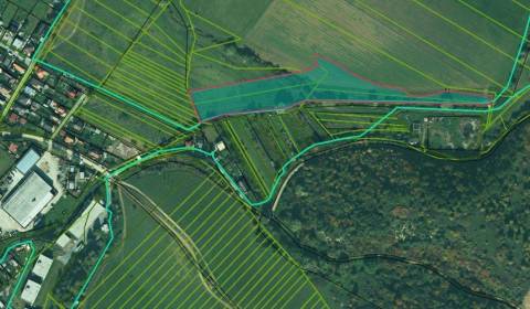 Sale Agrarian and forest land, Agrarian and forest land, Malý Šariš, P