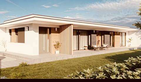 Sale Family house, Family house, Zámočnícka, Senec, Slovakia