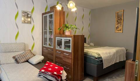 Sale One bedroom apartment, One bedroom apartment, Novomeského, Nitra,