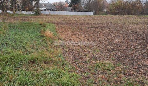 Sale Land – for living, Land – for living, Farná, Levice, Slovakia