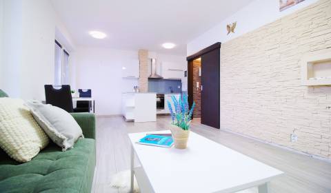 Rent One bedroom apartment, One bedroom apartment, Mateja Bela, Žilina