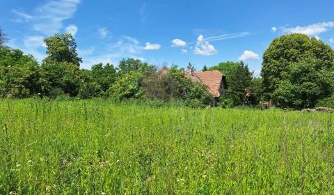 Sale Land – for living, Land – for living, Nové Zámky, Slovakia