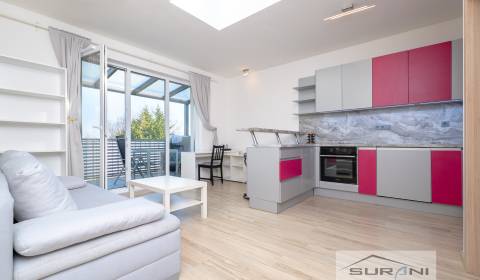 Rent One bedroom apartment, One bedroom apartment, Východná, Bratislav