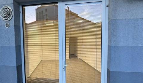 Rent Commercial premises, Commercial premises, Moyzesova, Senec, Slova