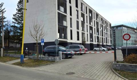 Rent One bedroom apartment, One bedroom apartment, Dilongova, Prešov, 