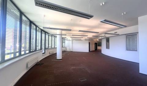 Rent Offices, Offices, Röntgenova, Bratislava - Petržalka, Slovakia