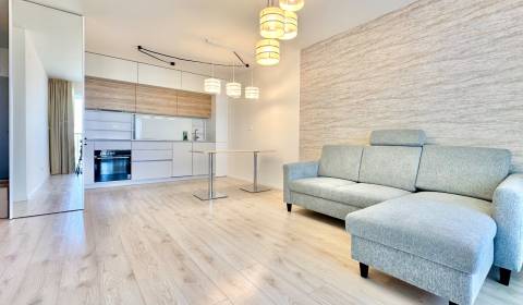 Rent One bedroom apartment, One bedroom apartment, Topoľčianska, Brati