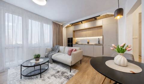 Sale One bedroom apartment, One bedroom apartment, Bratislava - Ružino