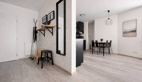 Sale One bedroom apartment, One bedroom apartment, Rustaveliho, Bratis