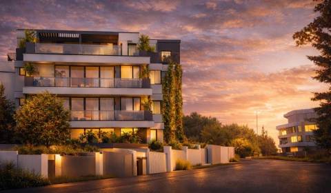 Sale Four+ bedroom apartment, Four+ bedroom apartment, Bratislava - St