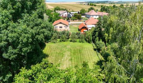Sale Family house, Family house, Nitra, Slovakia