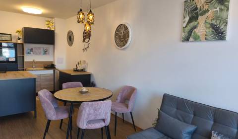 Rent One bedroom apartment, One bedroom apartment, Komárno, Slovakia