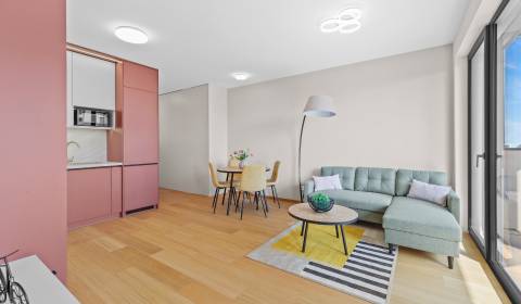 Rent One bedroom apartment, One bedroom apartment, Trnavská cesta 70A,