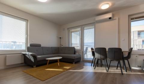 Spacious 1-bedroom apartment in Bory Promenáda