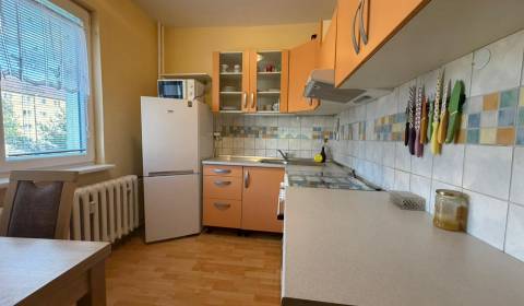Rent One bedroom apartment, One bedroom apartment, Partizánska, Prievi