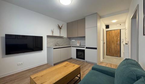 Rent One bedroom apartment, One bedroom apartment, Vlada Clementisa, P