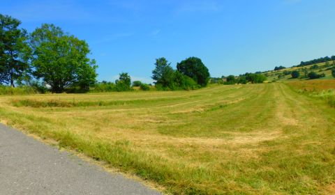 Sale Agrarian and forest land, Agrarian and forest land, Krupina, Slov