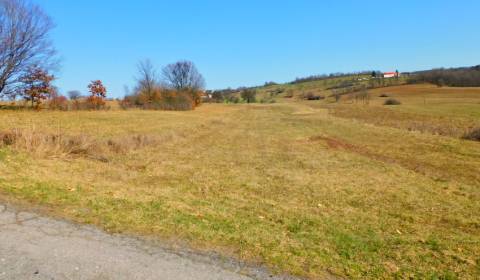 Sale Agrarian and forest land, Agrarian and forest land, Krupina, Slov