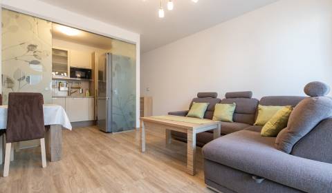 Furnished 1-bedroom apartment with loggia, Nové Mesto
