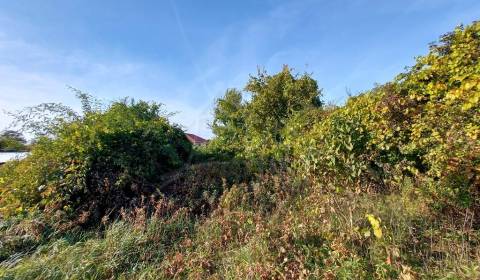 Sale Land – for living, Land – for living, Komárno, Slovakia