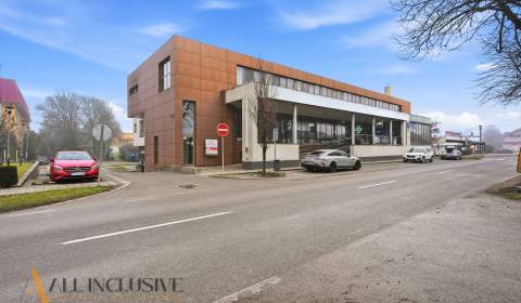 Rent Commercial premises, Commercial premises, Dunajská Streda, Slovak