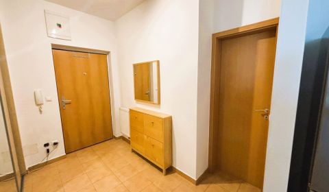 Rent One bedroom apartment, One bedroom apartment, Senec, Slovakia