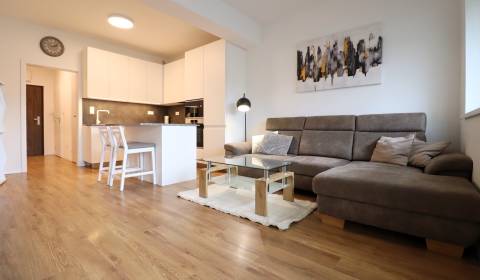 Rent One bedroom apartment, One bedroom apartment, Saratovská, Trenčín