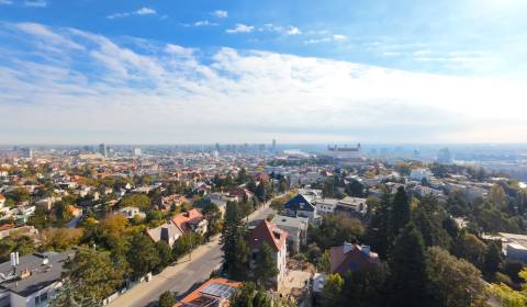 Sale Family house, Family house, Riznerova, Bratislava - Staré Mesto, 