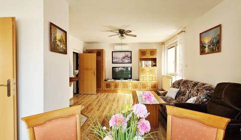 Sale Family house, Family house, Košice-okolie, Slovakia