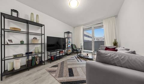 Sale Two bedroom apartment, Two bedroom apartment, Závodu Matador, Bra