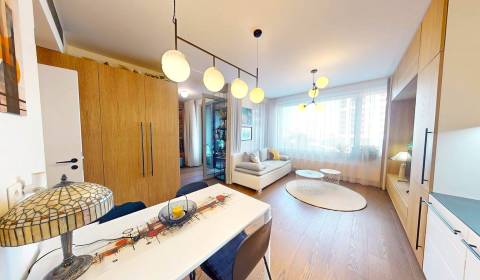 Sale One bedroom apartment, One bedroom apartment, Továrenská, Bratisl