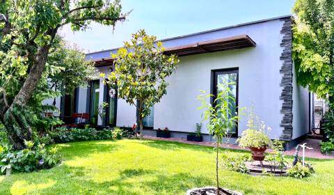 Sale Family house, Family house, Dolnomajerská, Senec, Slovakia